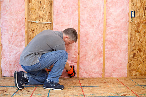Best Spray Foam Insulation in Duvall, WA