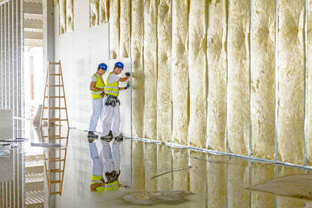 Best Insulation Maintenance and Repair in Duvall, WA